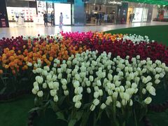 -保利MALL(天鹅湖店)