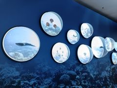 -上海中国航海博物馆