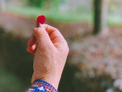 景点-福清灵石山国家森林公园