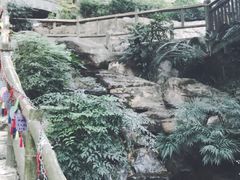 -伴山茶苑·一盏冰茶·半日山居