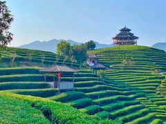 -程阳八寨景区