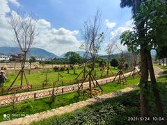 -福建土楼（华安）旅游区•大地土楼群