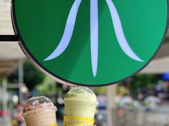 -茉酸奶(春熙路店)