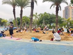 -宝安西湾红树林湿地公园