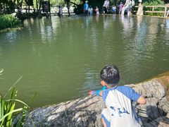 -成都市活水公园