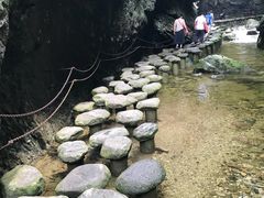 -牛背梁国家森林公园