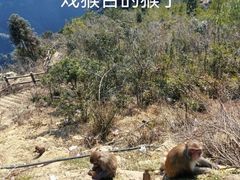 -重庆云阳龙缸景区