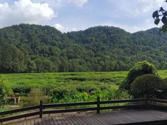 -中国茶叶博物馆(双峰馆区)