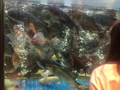 -客家汇·客家传承菜(水库店)