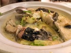 -饭怕鱼·黄焖鲟龙鱼(湖大店)