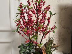 -龙大花卉苗木市场