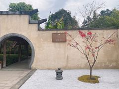 -腾冲和顺柏联酒店