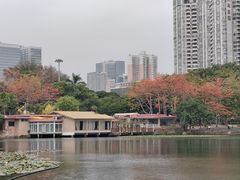 -荔枝公园(福田区)