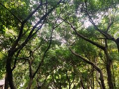 -龙头寺公园