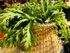 野生茼蒿-蜀大侠火锅(东园路店)