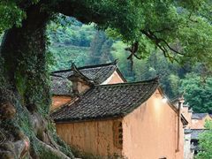 -杨家堂村