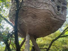 -天门沟九州驿站树上汤泉