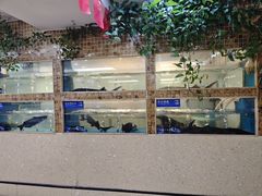 -大河宴·椒麻鱼火锅(米东区店)