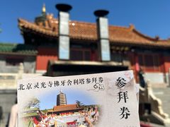 -八大处公园