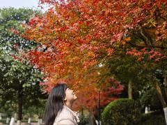 -龙头寺公园