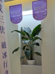 -头道汤头疗养生馆