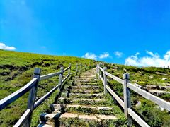 -灵山