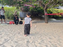 -亚龙湾海底世界