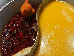 -青瓷火锅料理(西单大悦城店)