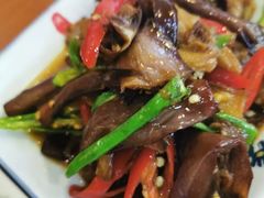 -鸿毛饺子(紫竹桥店)