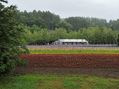 -富田农场