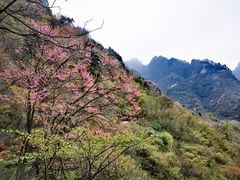 -武当山风景区