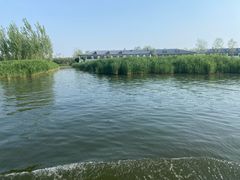 -白洋淀风景区