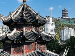 -黔灵山公园