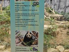 -石排湾郊野公园