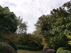 -东平国家森林公园