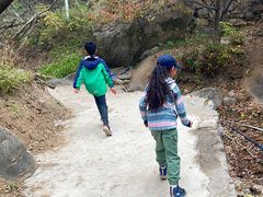 -大岭沟猕猴桃谷风景区