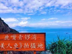 -杨梅坑