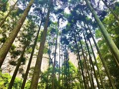 -雁荡山大龙湫景区