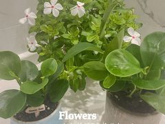 -孔乙己酒家(虹桥路店)