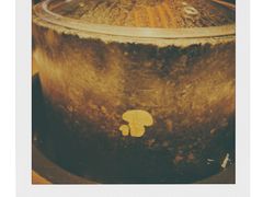 -芸山季·云南山珍菌火锅(人民广场来福士店)