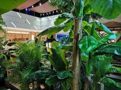 -青柠记忆泰式海鲜火锅(合生汇购物中心店)