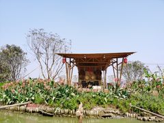 -江门古劳水乡旅游区