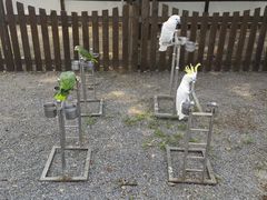 -秦皇岛野生动物园