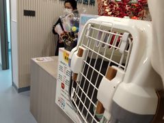 -宠物星动物医院·眼科·异宠·猫科(江南大道总院)