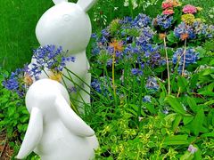 -深圳仙湖植物园-停车场