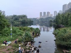 -重庆彩云湖湿地公园