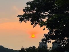 -白石龙音乐公园
