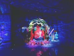 游乐设施-上海海昌海洋公园