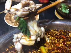 美蛙-费明中罗非鱼(大石坝店)