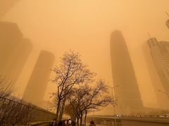 -中央广播电视总台(光华路办公区)